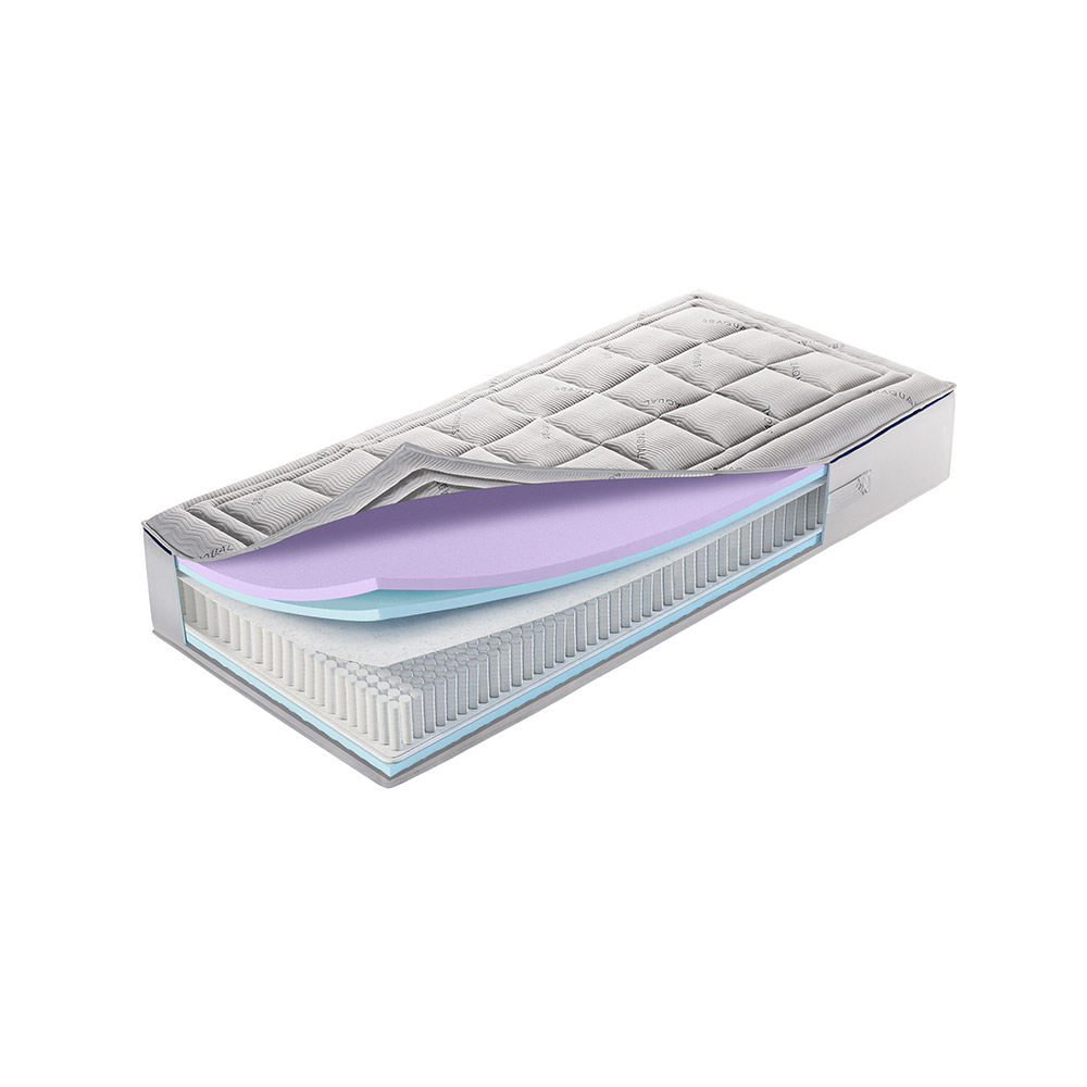 Ocean 290 TFG Querschnitt Ocean 290 TFG Querschnitt